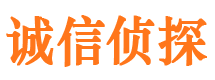 通海市私家侦探